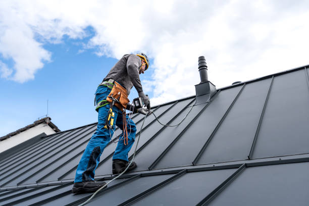 Professional Roofing Services in Leon Valley, TX